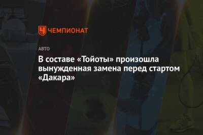 Бернард тен Бринке заменит Эрика ван Луна на ралли «Дакар» - championat.com - Голландия - Юар