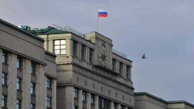 Светлана Бессараб - Ирина Волынец - В Госдуме прокомментировали предложение использовать маткапитал на дорогое лечение ребёнка - smartmoney.one - респ. Татарстан - Татарстан