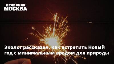 Эколог рассказал, как встретить Новый год с минимальным вредом для природы - vm.ru - Россия - Экология