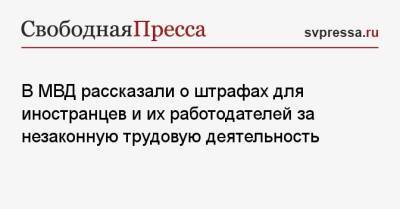 В МВД рассказали о штрафах для иностранцев и их работодателей за незаконную трудовую деятельность - svpressa.ru - Россия - Польша