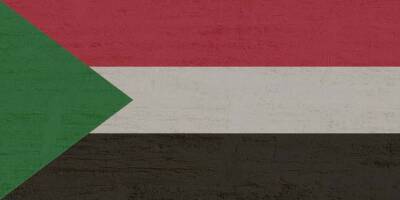Судан - В Судане обнаружен неизвестный смертоносный вирус и мира - cursorinfo.co.il - Судан - Южный Судан