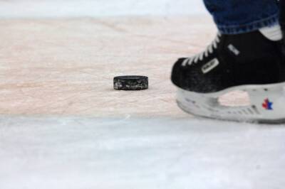 Совет IIHF решил отменить дальнейшее проведение молодёжного чемпионата мира - aif.ru - Россия - США - Швейцария - Финляндия - Канада - Чехия - Словакия
