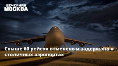 Роман Гусаров - Свыше 60 рейсов отменено и задержано в столичных аэропортах - vm.ru - Москва