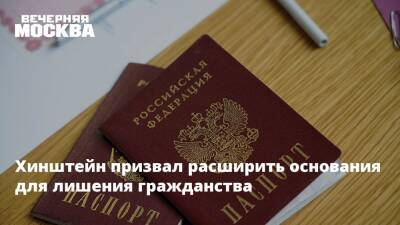 Владимир Путин - Александр Хинштейн - Хинштейн призвал расширить основания для лишения гражданства - vm.ru - Россия - Гражданство
