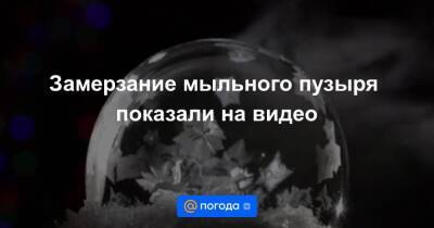 Замерзание мыльного пузыря показали на видео - smartmoney.one - Канада