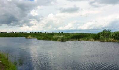 Два озера для геологических исследований продают в Тюменской области - nashgorod.ru - Тюменская обл. - район Нижнетавдинский