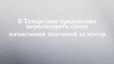 В Татарстане предлагают пересмотреть схему начисления платежей за мусор - chelny-izvest.ru - респ. Татарстан