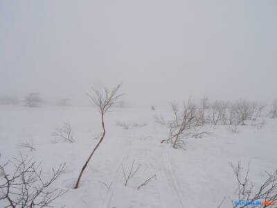 Север Сахалина встретит Новый год с метелью - sakhalin.info