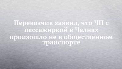 Перевозчик заявил, что ЧП с пассажиркой в Челнах произошло не в общественном транспорте - chelny-izvest.ru - Набережные Челны