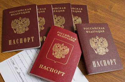 Владимир Путин - Александр Хинштейн - У оппозиционеров могут отобрать российские паспорта - bloknot.ru - Гражданство