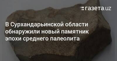 В Сурхандарье обнаружили новый памятник эпохи среднего палеолита - gazeta.uz - Узбекистан