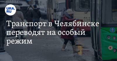 Транспорт в Челябинске переводят на особый режим - ura.news - Челябинск