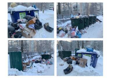 В канун Нового года Архангельск завален помоями от «Экоинтегратора» - arh.mk.ru - Архангельск