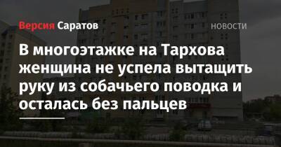 В многоэтажке на Тархова женщина не успела вытащить руку из собачьего поводка и осталась без пальцев - nversia.ru - Саратов - район Ленинский, Саратов