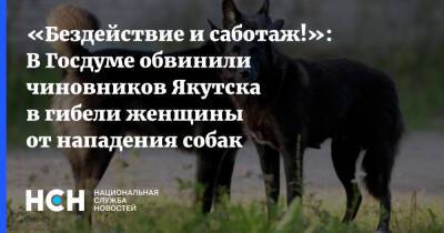 Владимир Бурматов - «Бездействие и саботаж!»: В Госдуме обвинили чиновников Якутска в гибели женщины от нападения собак - nsn.fm - Якутск - Якутск