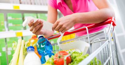 Украинцам на зависть. Почему в ЕС не растут цены на продукты - dsnews.ua - Украина - Германия