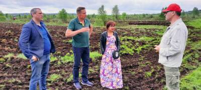 Владимир Лабинов - «Я все лето ходил в рубашке с короткими рукавами»: министр объяснил спад в сельском хозяйстве Карелии - stolicaonego.ru - республика Карелия
