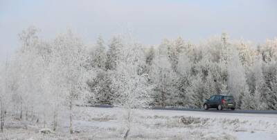 Снег и до -18°С ожидается в Беларуси 30 декабря - grodnonews.by - Белоруссия