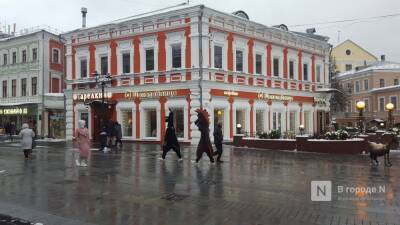 Нижегородская полиция проверяет действия лошадей-вымогателей на Большой Покровской - vgoroden.ru - Россия - Нижегородская обл. - Нижний Новгород - Нижний Новгород