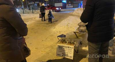 Полицейские заинтересовались 200-рублевой икрой, появившейся перед новогодними праздниками - pg21.ru - Россия - Чебоксары - Новочебоксарск