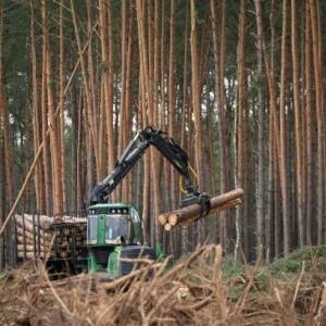 В Украине одобрили госстратегию управления лесами: подробности - reporter-ua.com - Украина - Управление