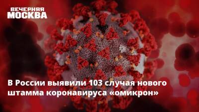 Анна Попова - В России выявили 103 случая нового штамма коронавируса «омикрон» - vm.ru - Россия - Англия - Ботсвана