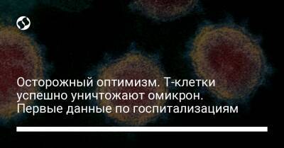 Осторожный оптимизм. Т-клетки успешно уничтожают омикрон. Первые данные по госпитализациям - liga.net - Украина - Юар