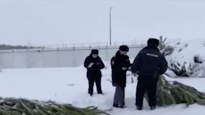 Ущерб от незаконной вырубки леса в Оренбургской области превысил 11 млн рублей - iz.ru - Израиль - Оренбургская обл.