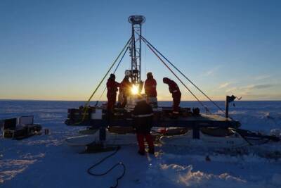 Антарктида - Ученые обнаружили под шельфовым ледником Антарктики 77 видов организмов - itc.ua - Украина - Антарктида