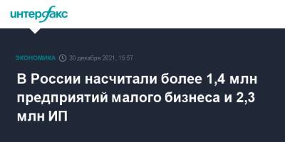 В России насчитали более 1,4 млн предприятий малого бизнеса и 2,3 млн ИП - interfax.ru - Москва - Россия
