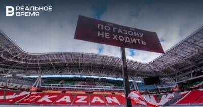 Дмитрий Резнов - Обслуживание газона «Ак Барс Арены» оказалось вдвое дешевле его охраны - realnoevremya.ru - респ. Татарстан - Казань