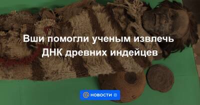 Вши помогли ученым извлечь ДНК древних индейцев - news.mail.ru - США - Англия - Дания - Аргентина