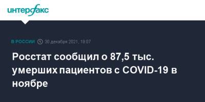 Росстат сообщил о 87,5 тыс. умерших пациентов с COVID-19 в ноябре - interfax.ru - Москва - Россия