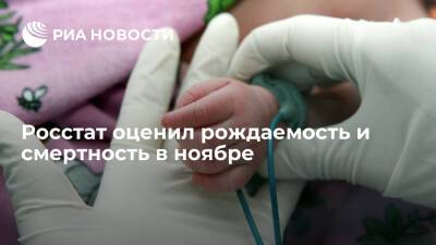 Росстат: рождаемость в России в ноябре увеличилась на 1,8%, смертность выросла на 17% - ria.ru - Москва - Россия