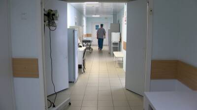 В Воронежской области спрогнозировали рост заболеваемости COVID после новогодних каникул - vestivrn.ru - Россия - Воронежская обл.