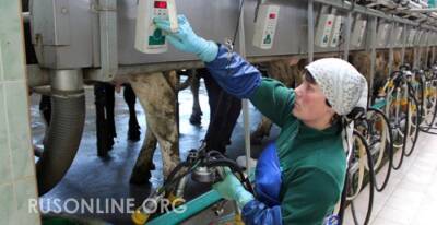 Газом не отделались: Россия наносит новый удар по Польше - rusonline.org - Россия - Польша