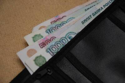 Волгоградские работодатели планируют в 2022 году поднять зарплаты на 5% - volg.mk.ru - Волгоградская обл.