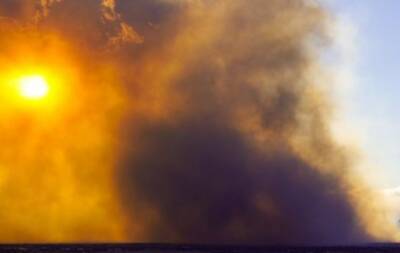 В США из-за лесных пожаров сгорели сотни домов - enovosty.com - США - шт. Колорадо - state Colorado