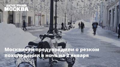 Александр Синенков - Москвичей предупредили о резком похолодании в ночь на 2 января - vm.ru - Москва - Москва