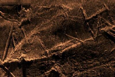 Археологи обнаружили затонувшее два столетия назад судно, перевозившее рабов (Фото) - lenta.ua - США - Украина - штат Алабама - Судно