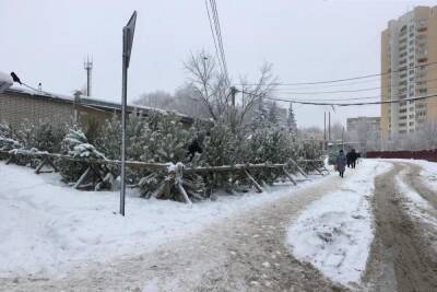 В Саратове за несколько часов до Нового года продавцы не снижают цены на ёлки - saratov.mk.ru - Саратов