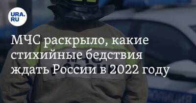 Александр Козлов - МЧС раскрыло, какие стихийные бедствия ждать России в 2022 году - ura.news - Россия
