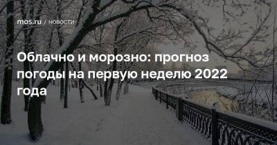 Облачно и морозно: прогноз погоды на первую неделю 2022 года - mos.ru - Москва