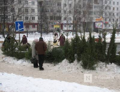 14 незаконных елочных базаров выявили нижегородские полицейские - vgoroden.ru - Россия - Нижегородская обл.