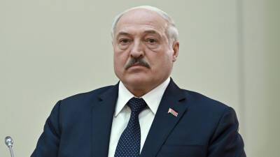 Александр Лукашенко - Лукашенко поручил создать в Белоруссии банк генетического материала для ЭКО - russian.rt.com - Россия - Белоруссия
