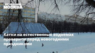 Катки на естественных водоемах проверили перед новогодними праздниками - vm.ru - Москва - Москва
