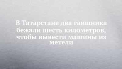В Татарстане два гаишника бежали шесть километров, чтобы вывести машины из метели - chelny-izvest.ru - респ. Татарстан - Ульяновск - Казань