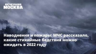 Наводнения и пожары: МЧС рассказало, какие стихийные бедствия можно ожидать в 2022 году - vm.ru