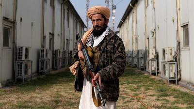 Талибы разрешили мужчинам не отращивать бороду - iz.ru - Россия - Израиль - Afghanistan