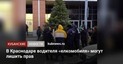 В Краснодаре водителя «елкомобиля» могут лишить прав - kubnews.ru - Краснодарский край - Краснодар - Краснодар